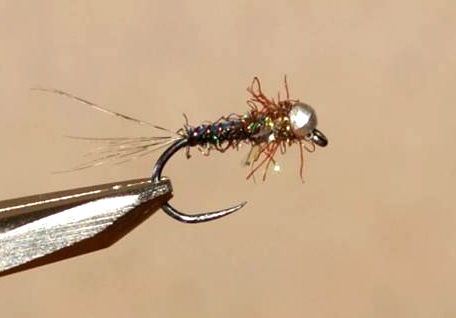 Mario Geldenhuys Jihad nymph