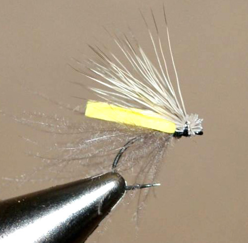 Mario Geldenhuys Puterbaugh Caddis CDC version