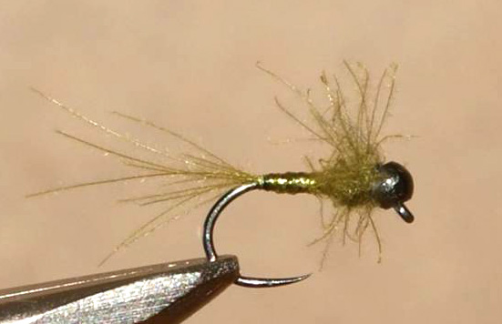 Mario Geldenhuys Quill and CDC Nymph