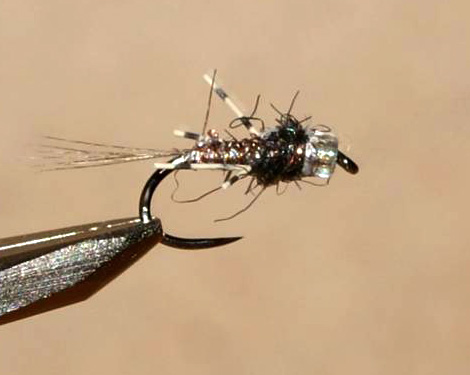 Mario Geldenhuys Rubberleg Mercury May