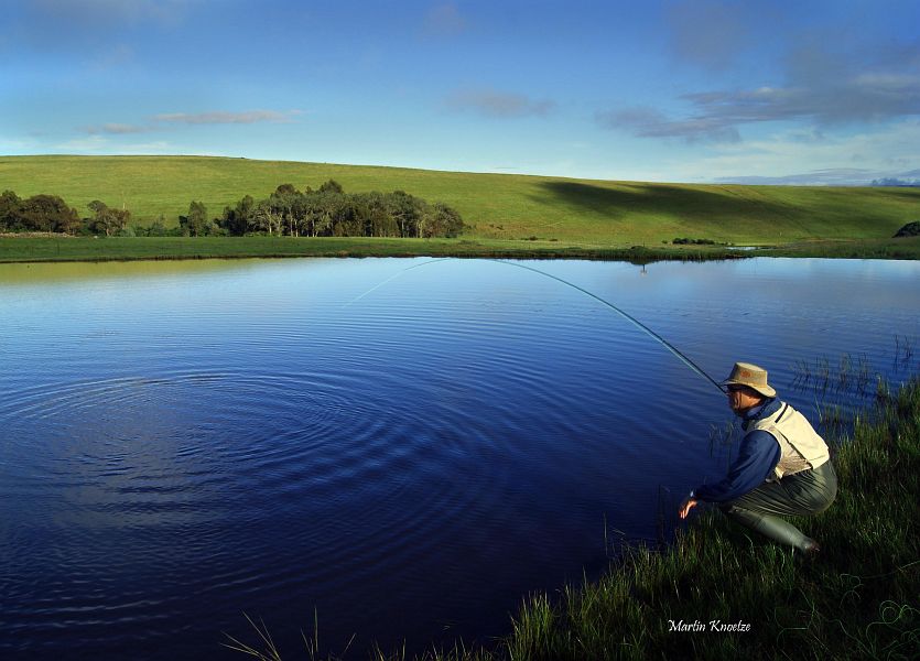 Martin_Knoetze_DSC04704-2