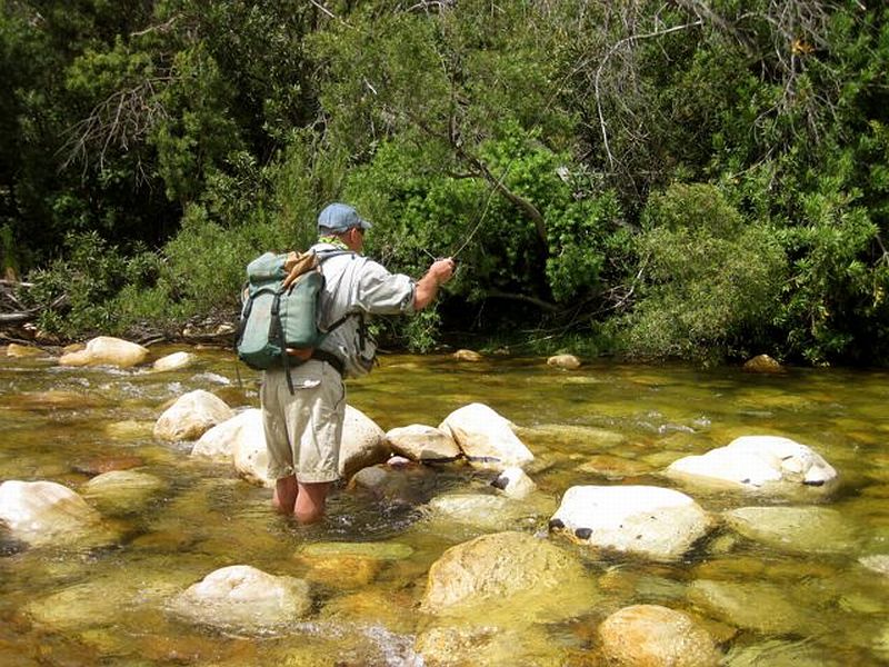 Molenaars_Western_Cape_12