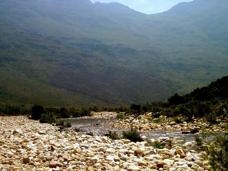 Molenaars_Western_Cape_9