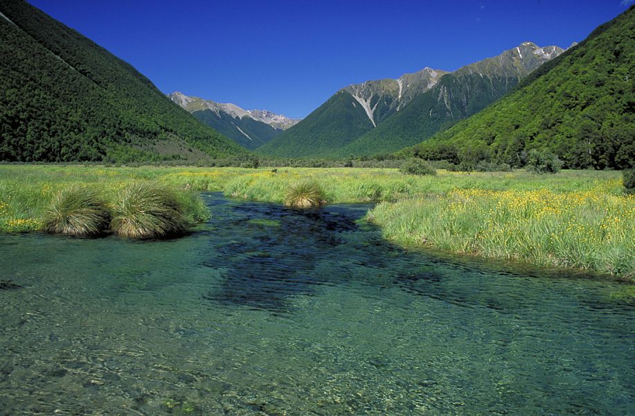 New_Zealand_Val_Atkinson