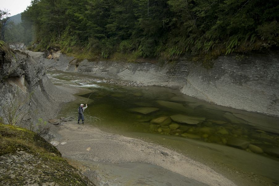 New_Zealand_Valentine_Atkinson_2