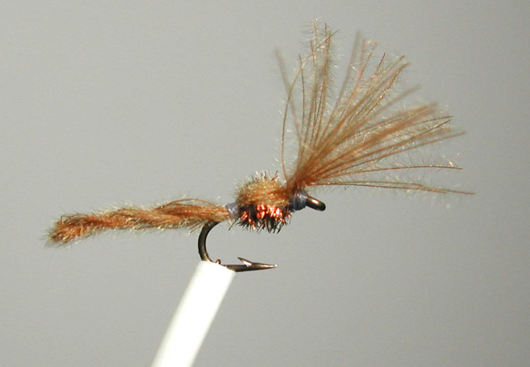 Palomino_Midge_Twisted_Herls