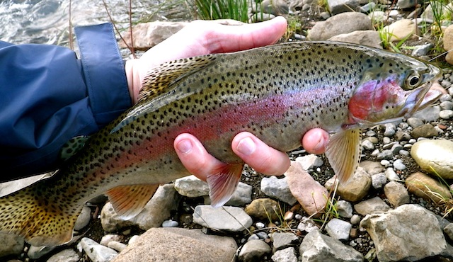 Rhodes_district_fly_fishing_scenes_10
