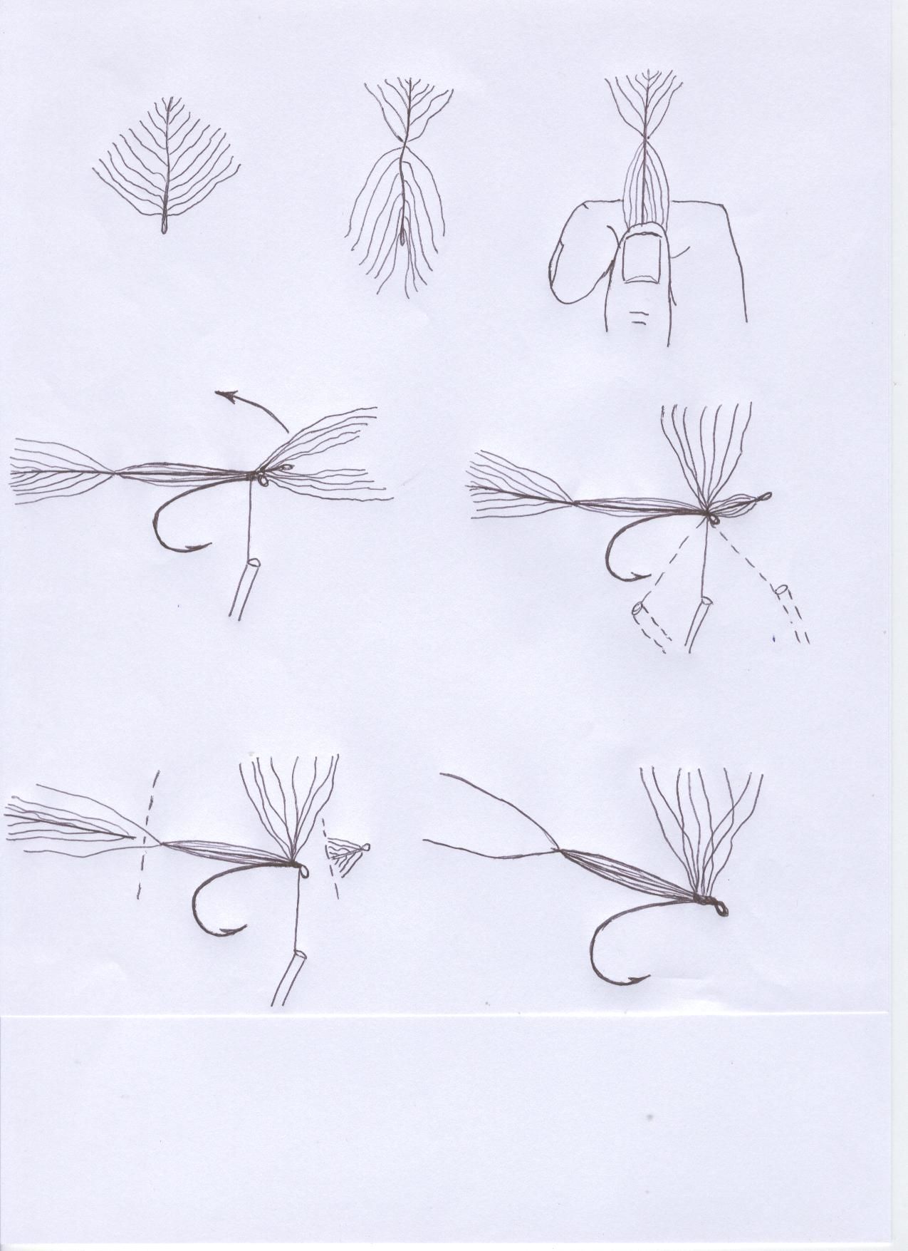 Sketches