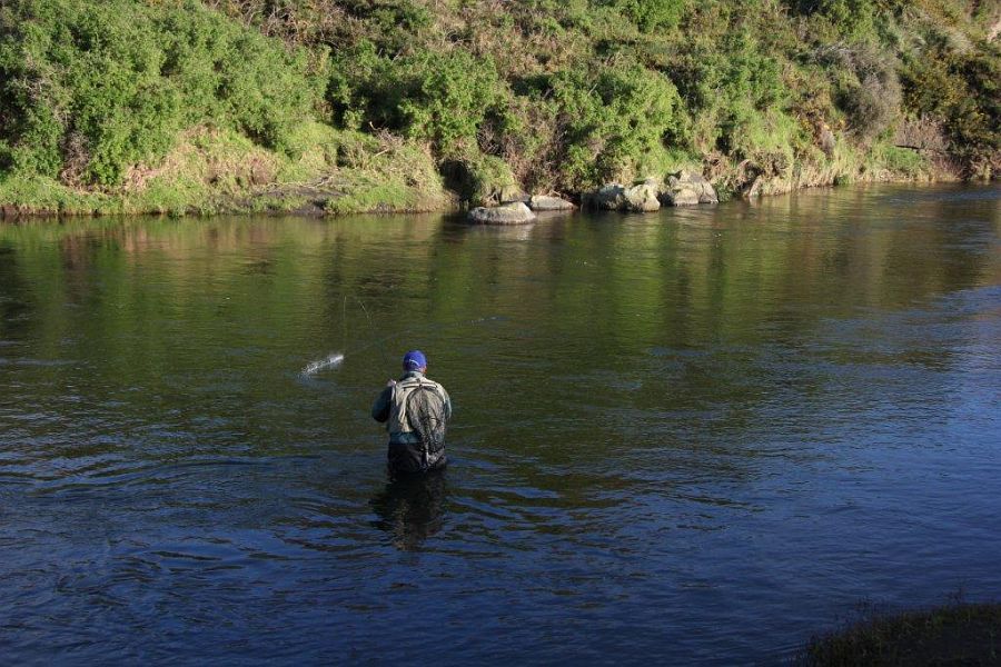 Taranaki_river_New_Zealand_2