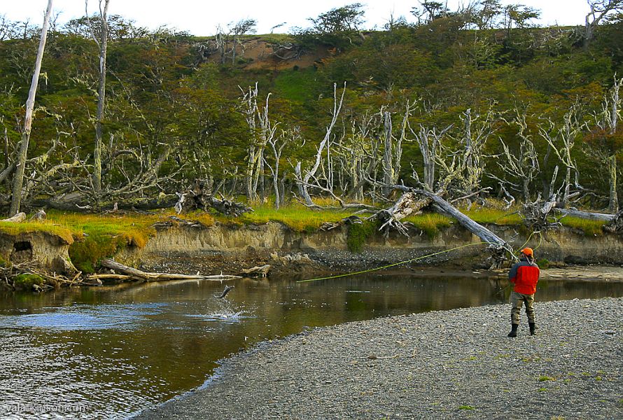 Terra_del_Fuego_Val_Atkinson_2