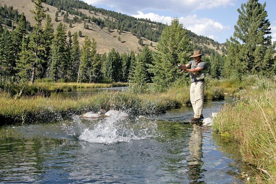 Tributary_of_the_Gallatin_River_Montana_1