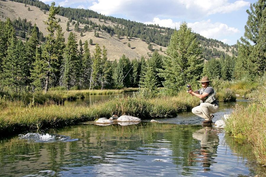 Tributary_of_the_Gallatin_River_Montana_2
