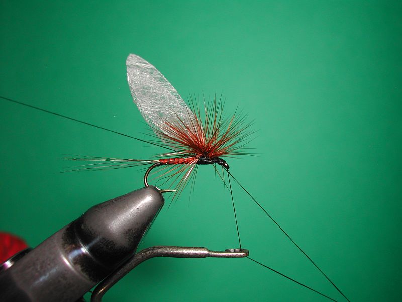 Griffith's Gnat Dry Fishing Fly Tied on Mustad Signature Hooks 12 Flies 