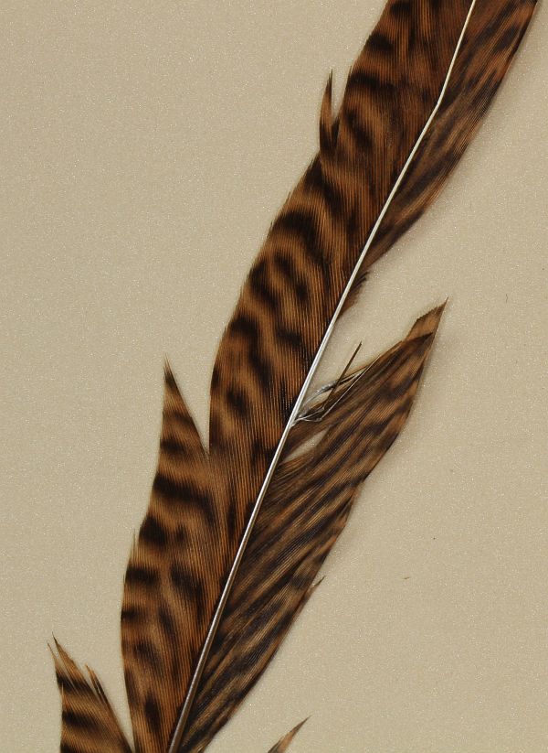 Tying_the_Sawyer_Pheasant_Tail_Nymph_2