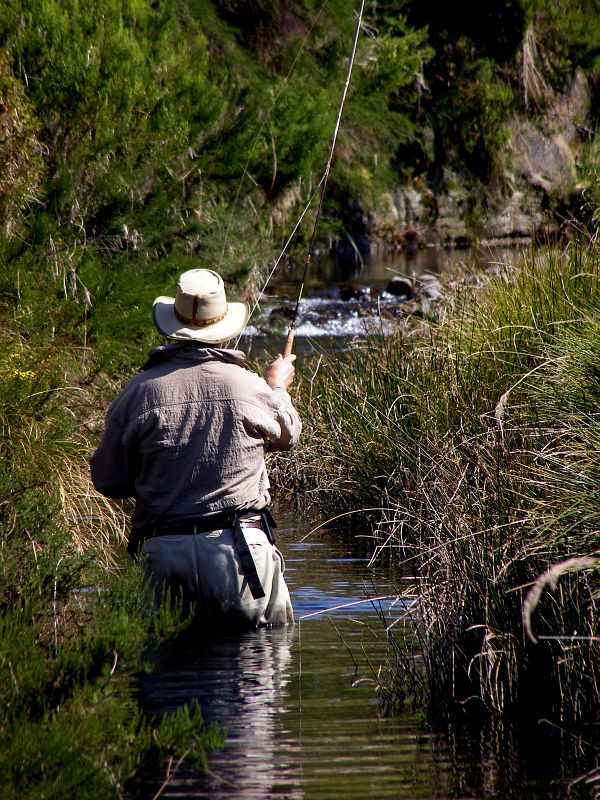 Willow_Stream_Dave_Prentice