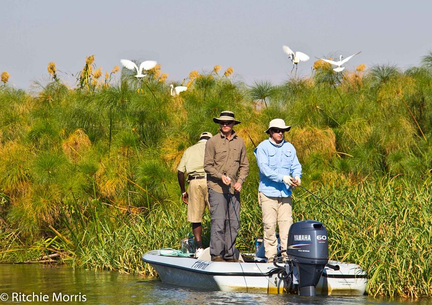 Zambezi_Ilombe_and_Sekoma_Lodge_tigerfish_10