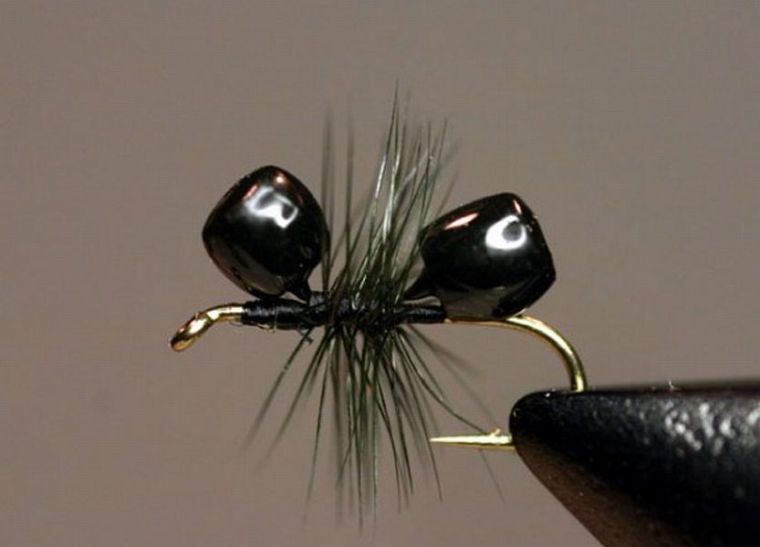 ant-done-550x396
