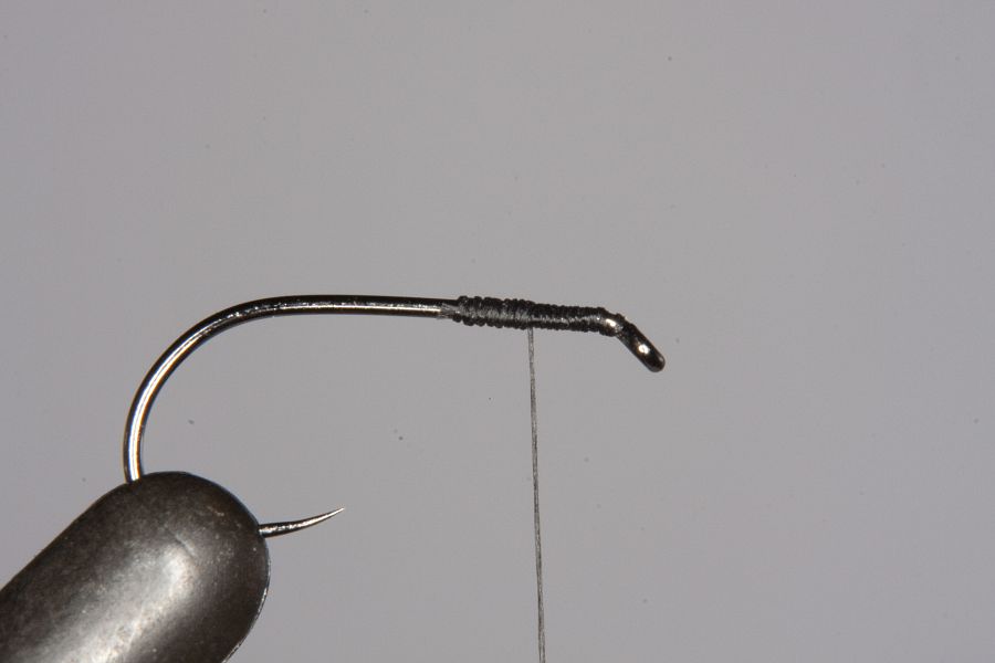 trout18