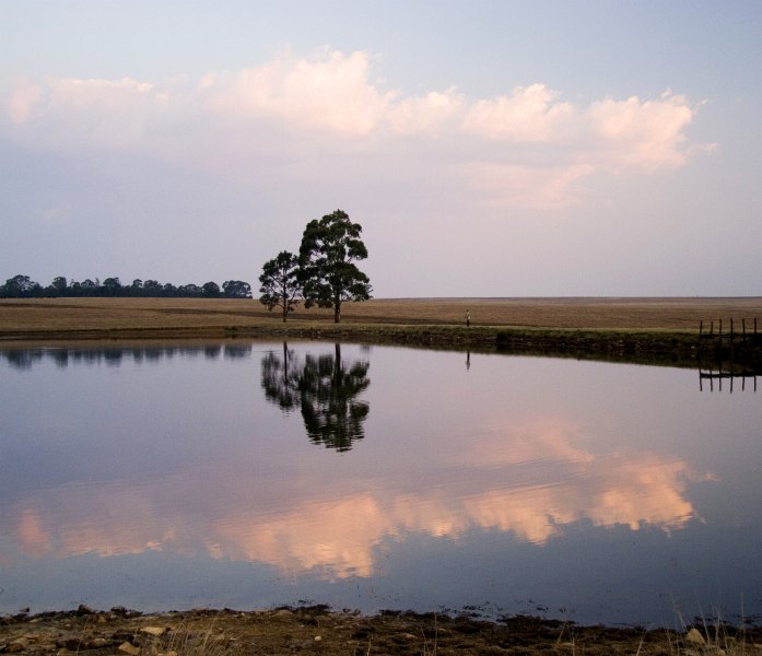 Dullstroom impressions (3)