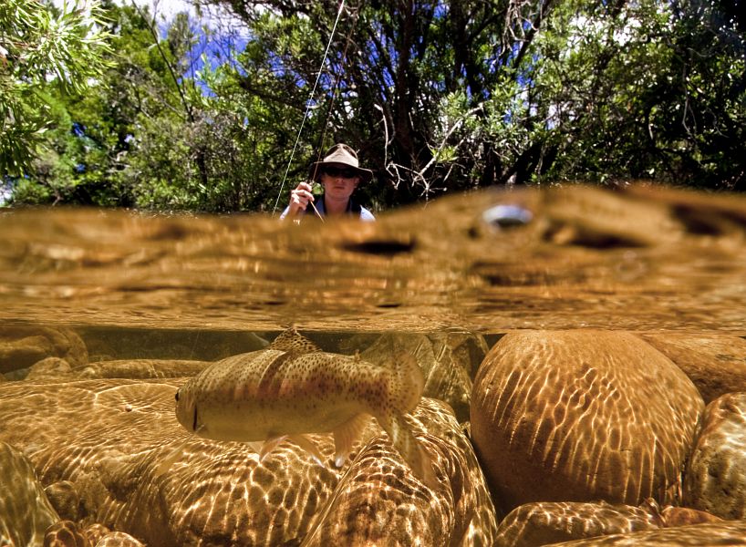 Small streams  43