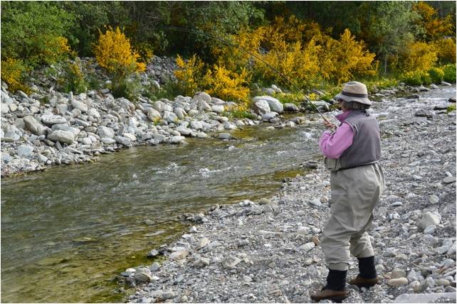 11 small New Zealand stream