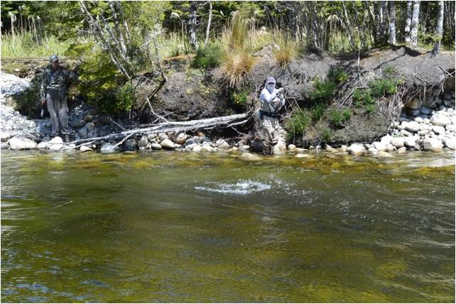 14 Borland River New Zealand