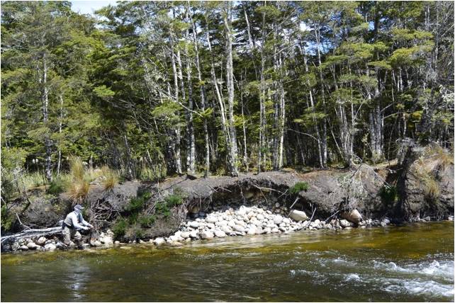 14 Borland River South Island