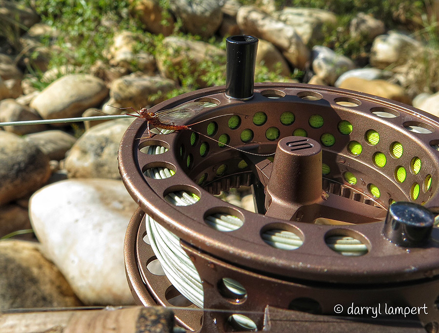 14 Darryl Lampert images-5