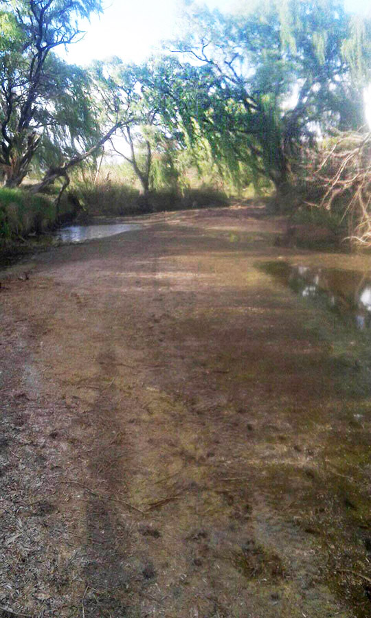 8 Sterkspruit River in drought 