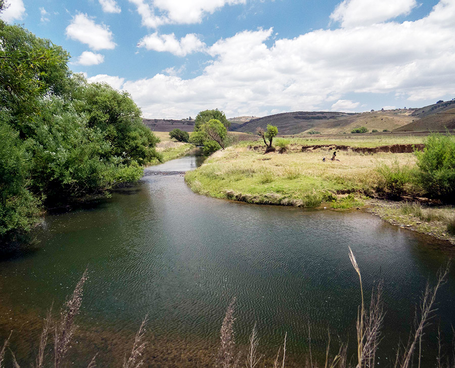 9 Fly fishing lower Bushmans River