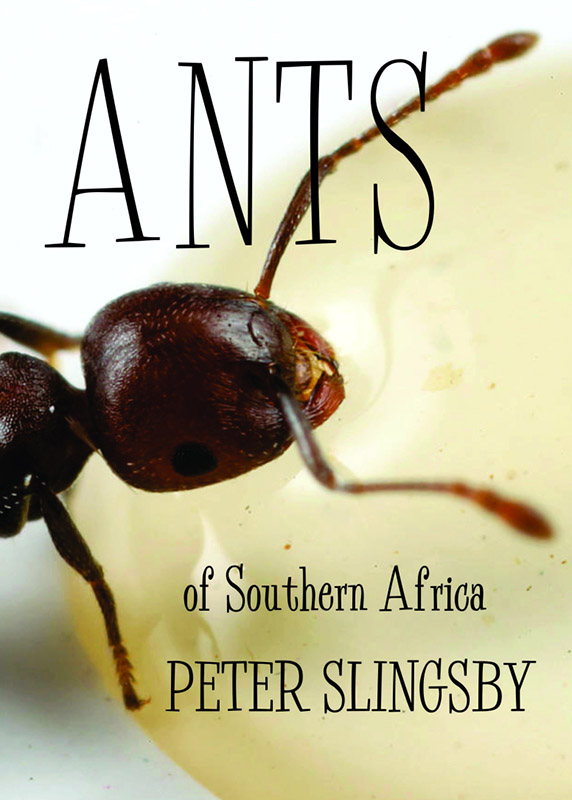 10 Slingsby new book
