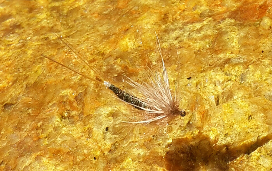 12 Tube body mayfly