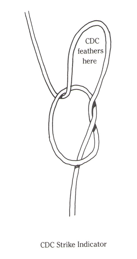 15 CDC knot