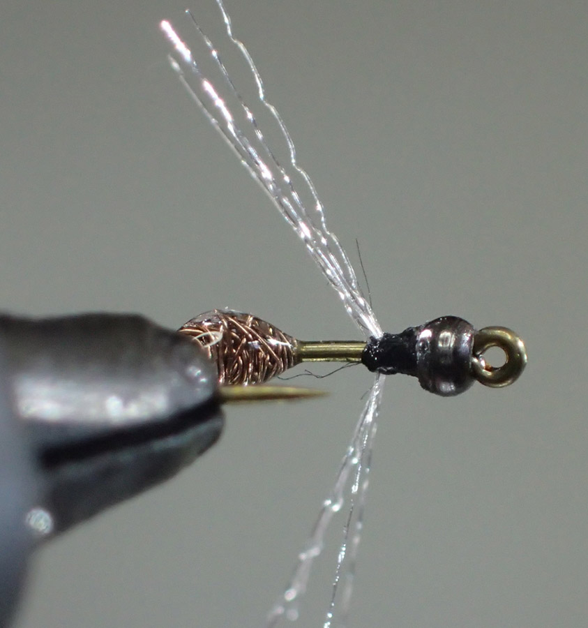 8 Copper Wire Ant