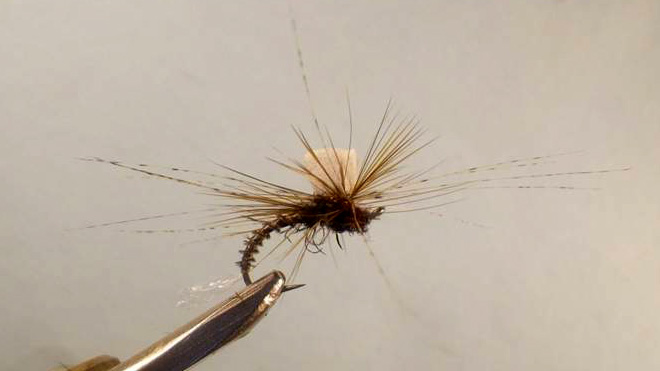 KLINKHAMER