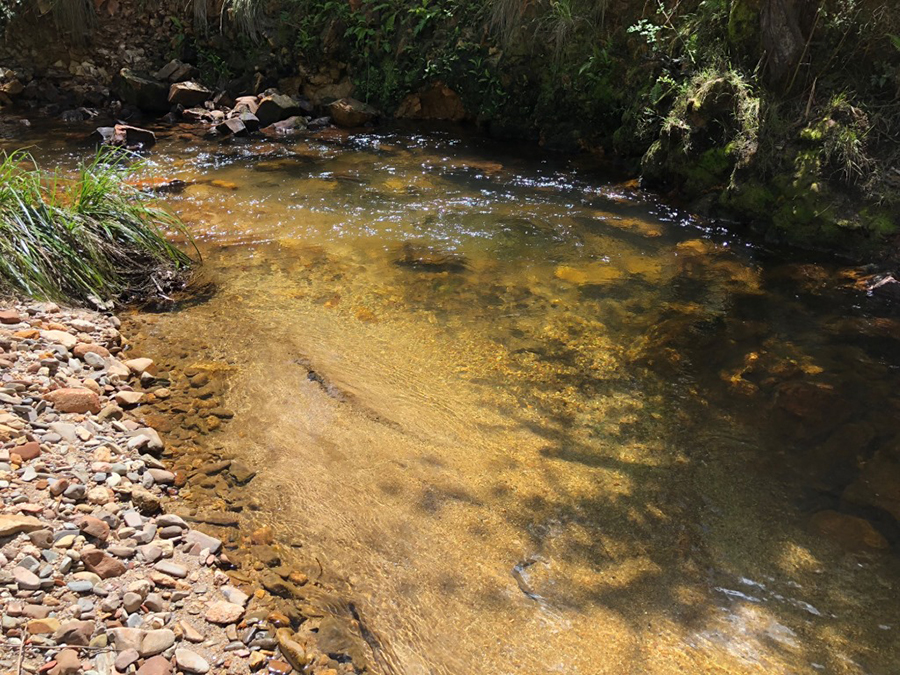 10 Sandy stream bed 03