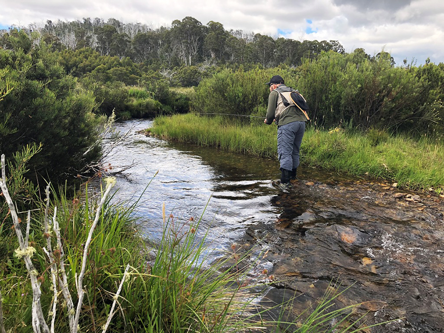 14 Ogilvies Creek 01