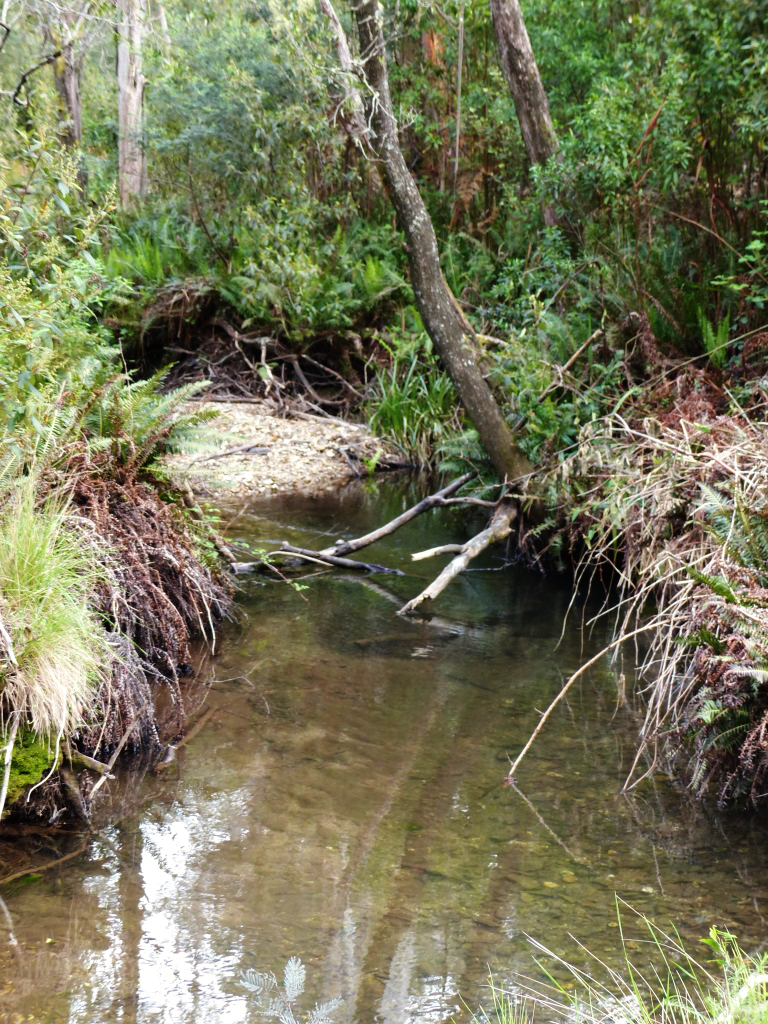 2 Riley Creek 04