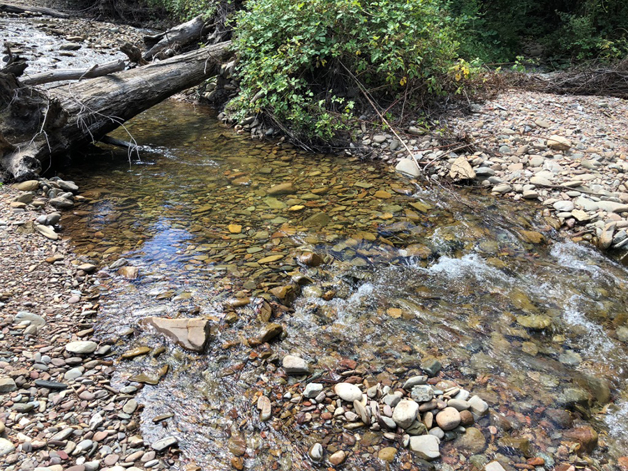 6 Secret creek 1