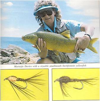 lastyellow1