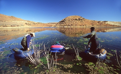 February 2021 Fly-Fishing Newsletter