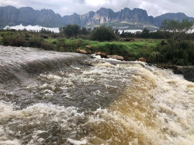 June 2021 Fly-Fishing Newsletter