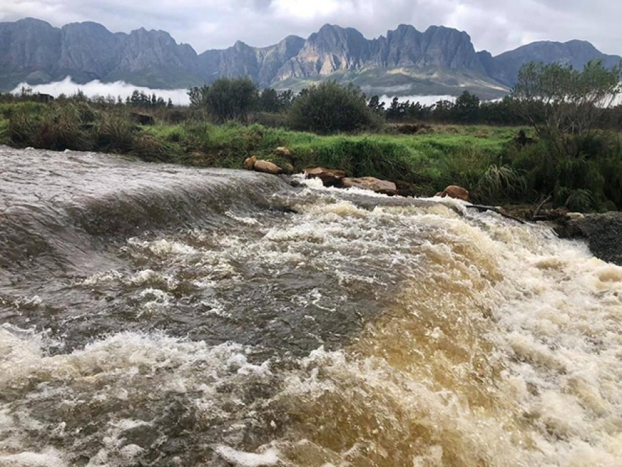 June 2021 Fly-Fishing Newsletter