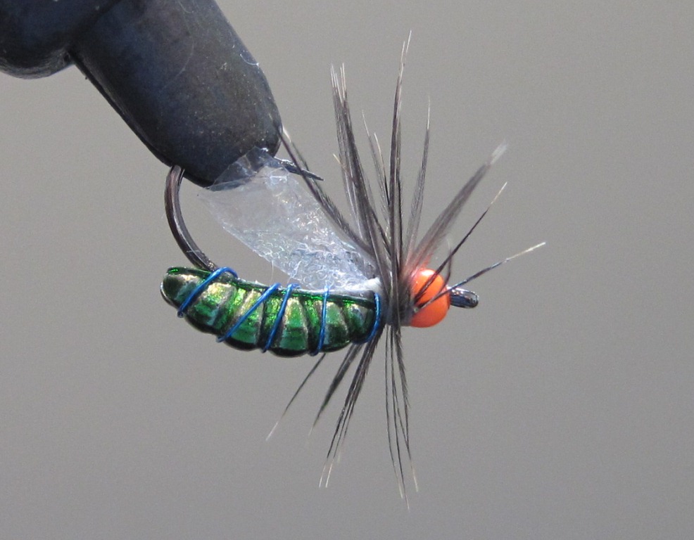 Eds_Sunken_Beetle_1