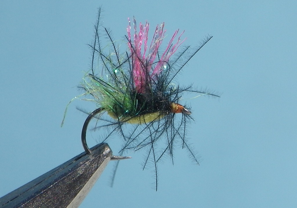 Eds_Tuftback_Midge