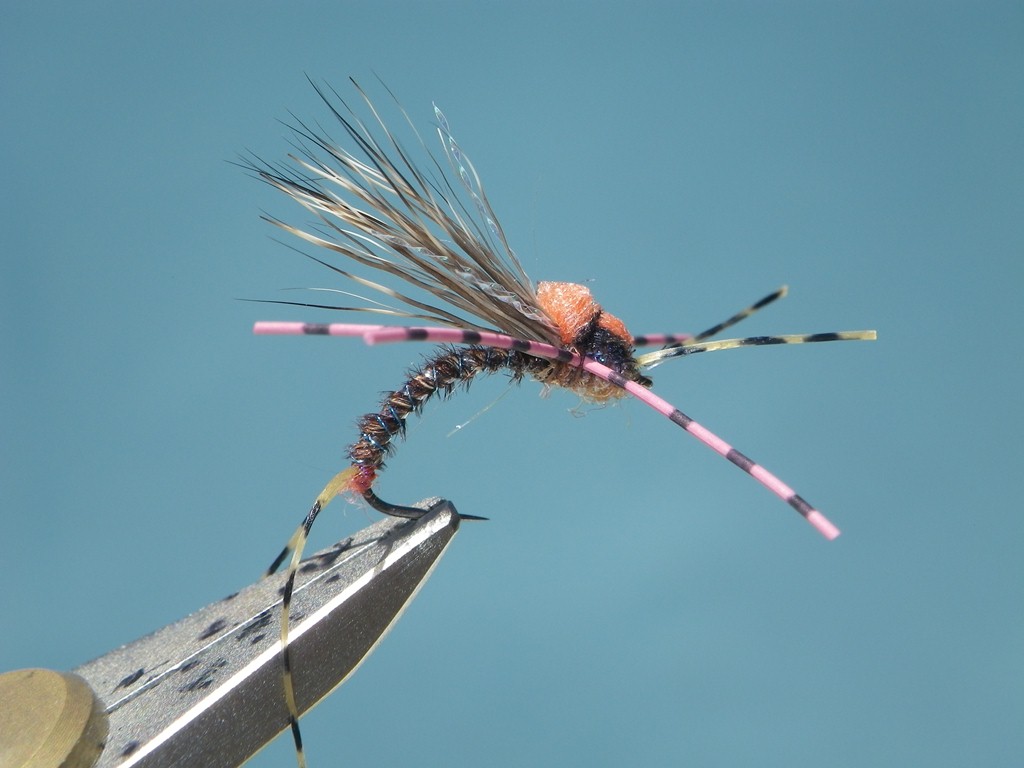 Something_Struggling_side_view