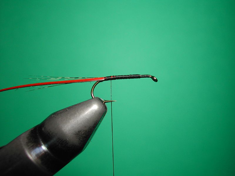 Tying_Agostinon_Roncallos_winged_Paraloop_dry_fly_1