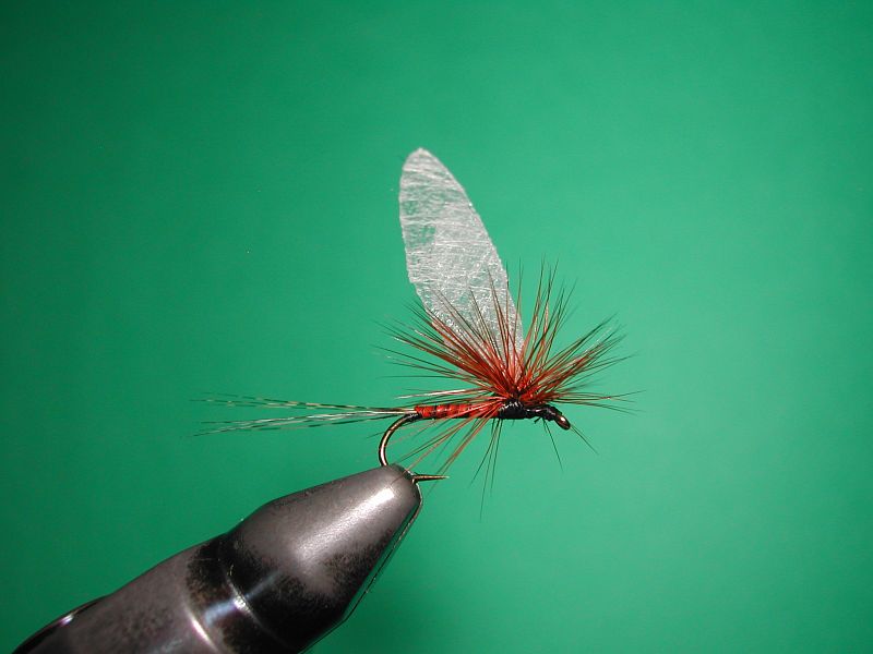 Tying_Agostinon_Roncallos_winged_Paraloop_dry_fly_10
