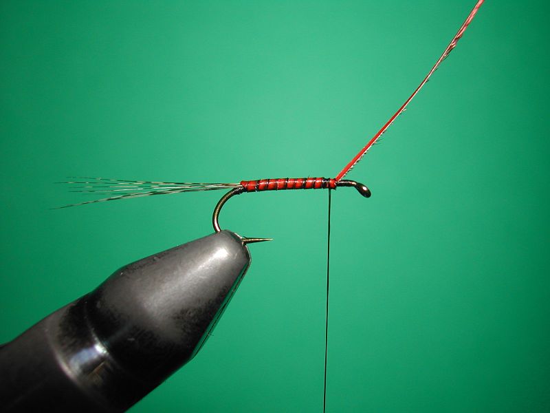 Tying_Agostinon_Roncallos_winged_Paraloop_dry_fly_2