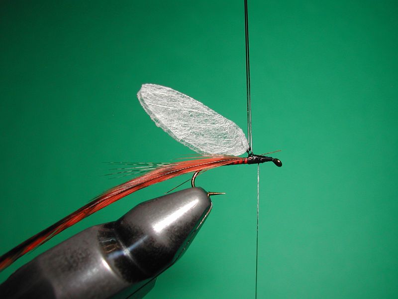 Tying_Agostinon_Roncallos_winged_Paraloop_dry_fly_4
